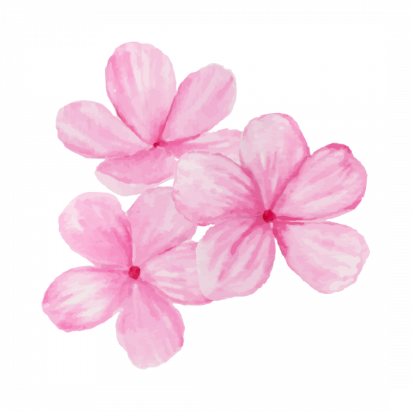 Gentle Unfolding: Journal Prompt Stickers - Pink by Andysketches
