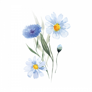 9 Gentle Unfolding: Flower Stickers by Andysketches